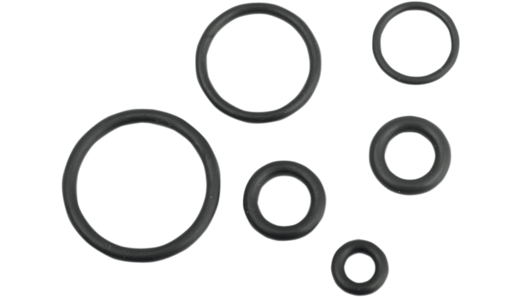 Drag Specialties - Replacement Fuel Line O-Ring Kit - EFI