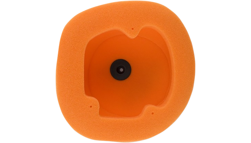 Twin Air - Standard Air Filter - Beta