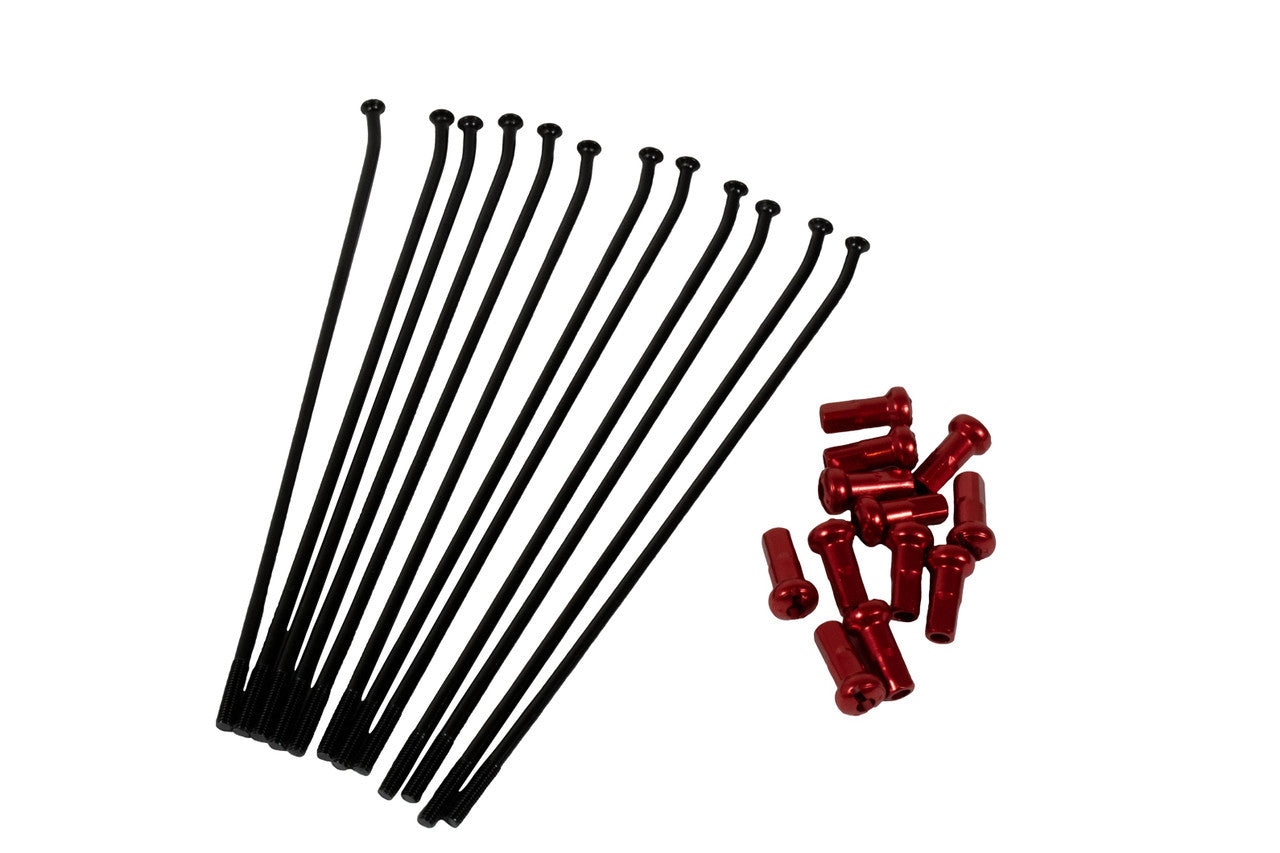 Beta - Kite Spoke Kit, 21", Black