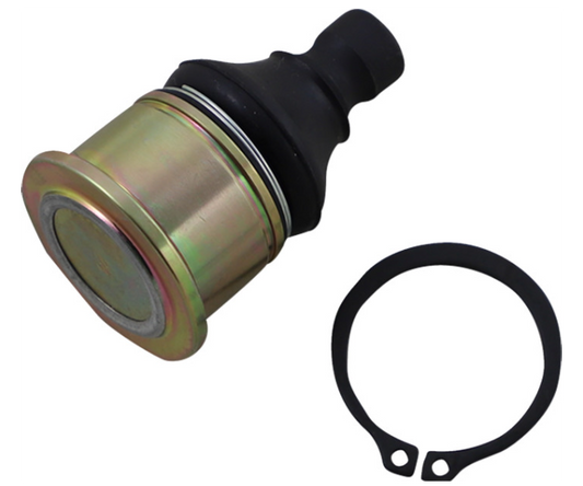 Moose Offroad - Ball Joint - Lower - CF Moto