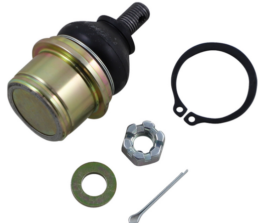 Moose Offroad - Ball Joint - Upper - CF Moto