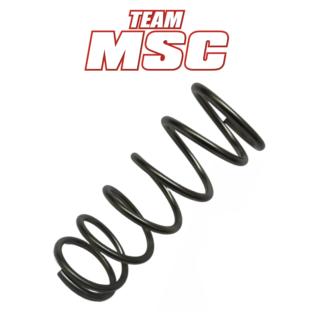 TEAM MSC - SEGWAY VILLAIN - SECONDARY CLUTCH SPRING