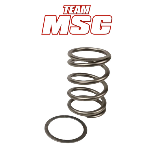 TEAM MSC - SEGWAY VILLAIN - PRIMARY CLUTCH SPRING KIT