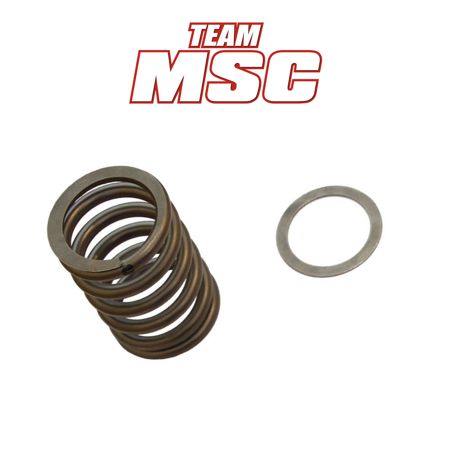 MSC STAGE 1 PRIMARY CLUTCH SPRING & WASHER - CFMOTO UFORCE