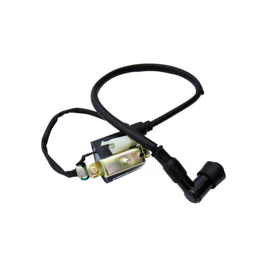 Ignition Coil DY100 (IC-4)