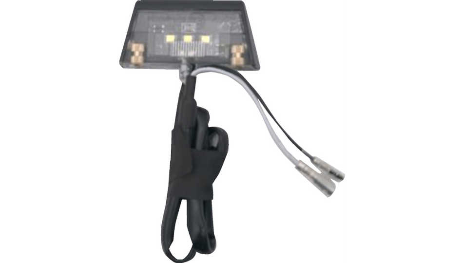 RAVEK - License Plate Light