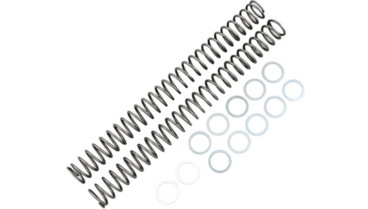 Race Tech - Fork Springs - 0.46 kg/mm - Beta/Gas Gas/Husqvarna+