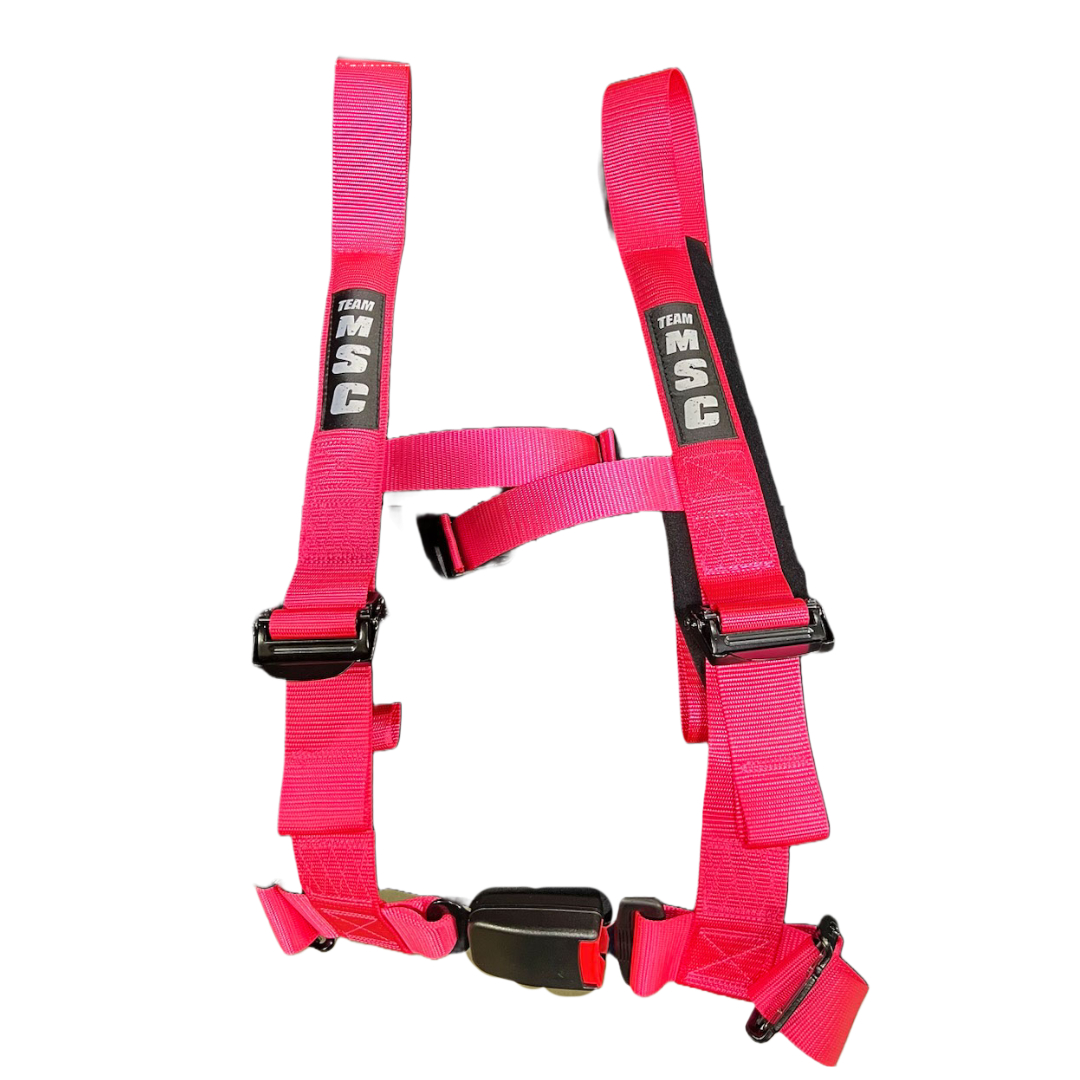 TEAM MSC 4PT SAFETY HARNESS