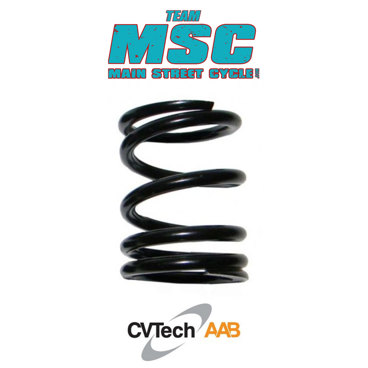 CVTECH PRIMARY CLUTCH SPRING – TeamMSC