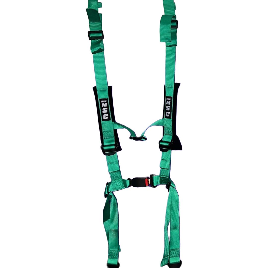 TEAM MSC 4PT SAFETY HARNESS